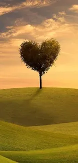 Heart-shaped tree at sunset on rolling green hills.