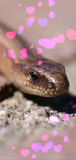 Snake with pink hearts on textured surface wallpaper.