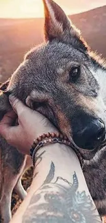 Dog leaning on tattooed hand at sunset.