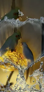 Two parrots in a heart-shaped splash on warm-toned wallpaper.