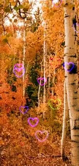 Colorful autumn forest with heart shapes enhancing nature's beauty.