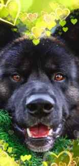 Joyful dog surrounded by green hearts.