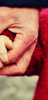 Elderly and child's hands holding in a warm embrace.