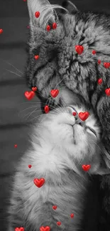 Heartwarming black and white cat embrace wallpaper.