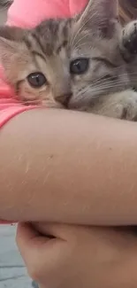 Child smiling holding a kitten outdoors.