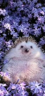 Cute hedgehog lying among purple flowers, perfect wallpaper.