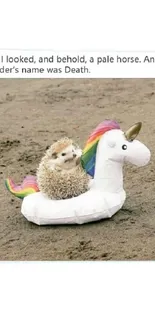 Hedgehog on a rainbow unicorn float at the beach.