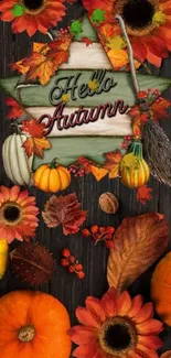 Hello Autumn wallpaper with pumpkins and sunflowers on wood.