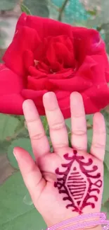 Red rose with henna art on a hand.