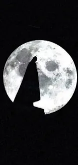 Silhouette of a hero against the full moon on a starless night.