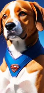 Wallpaper featuring a heroic dog in a bright blue sky wearing a super-themed harness.