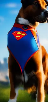 Heroic dog in Superman cape with cityscape backdrop.