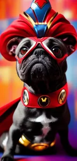 French Bulldog in a vibrant superhero costume on colorful background.