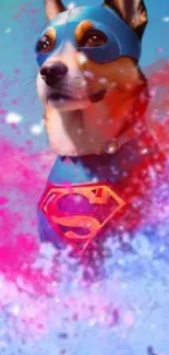 Dog in superhero costume with colorful explosion background.