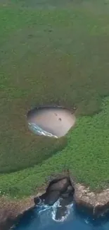 Aerial view of a hidden beach enveloped by lush greenery.