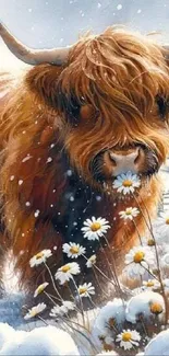 Highland cow in snowy field with daisies.