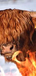 Highland cow with long horns standing in snow-covered landscape.