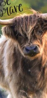 Highland cow with 'Be Brave' text in nature scene.