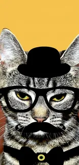 Tabby cat with hat and glasses on a colorful background.