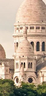 Close-up of historic basilica architecture against a clear sky.