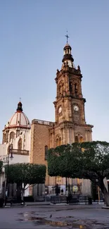 Historic cathedral under a pale evening sky with trees and street view.