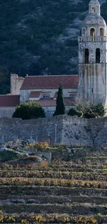 Historic church on hillside with lush background