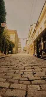 A picturesque cobblestone street lined with lush greenery.