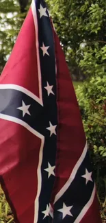 Historic flag with red, white, and blue set in natural greenery.