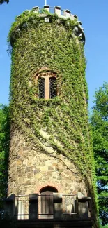 Ivy-covered stone tower under a blue sky.