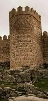 Stone fortress with rugged landscape and ancient wall.