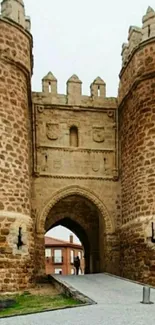 Historic stone gate with archway and towers in an ancient architectural style.