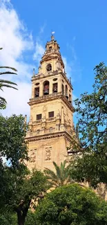 Historic bell tower with palm trees under a clear blue sky.