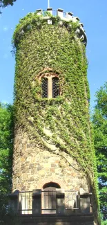 Ivy-covered historic tower in lush green forest.