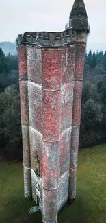 Aerial view of a historic tower surrounded by a misty forest.