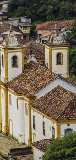 Historic town with a prominent church and lush greenery.