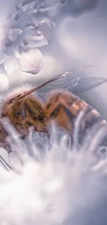 Close-up of a honey bee on a white flower in soft focus.