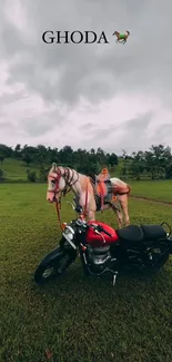 Horse standing beside a red motorcycle in a green landscape.