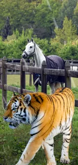 Tiger and horse in a lush pasture with green trees.