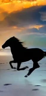 Silhouette of a horse running on a beach during a vivid sunset.