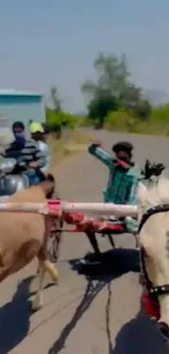 Horse carriage on rural road with scooter.