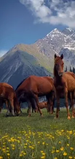 Horse Grassland Mountain Live Wallpaper