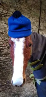 Quirky horse wearing a blue beanie in a rustic setting.