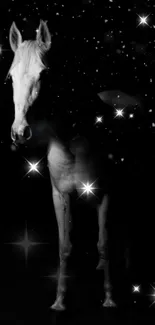 Horse Light Entertainment Live Wallpaper