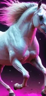 Horse Light Purple Live Wallpaper