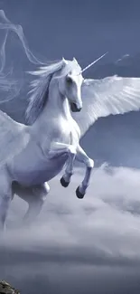 Horse Nature Cloud Live Wallpaper