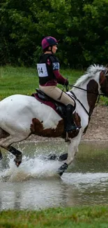 Horse and rider splashing through water in lush greenery.