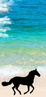 Silhouette of a horse on a turquoise beach with ocean waves.