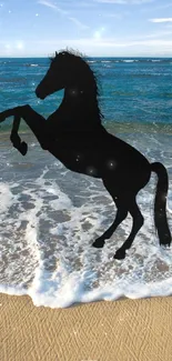 Silhouette of horse on a beach with waves and seashells.