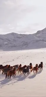 Horse Snow Winter Live Wallpaper