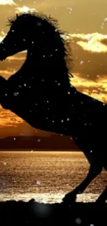 Horse Sunset Mustang Live Wallpaper